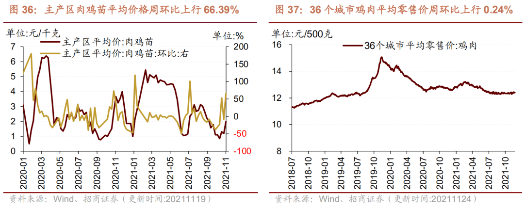 （2023年10月23日）今日铁矿石期货最新价格行情查询