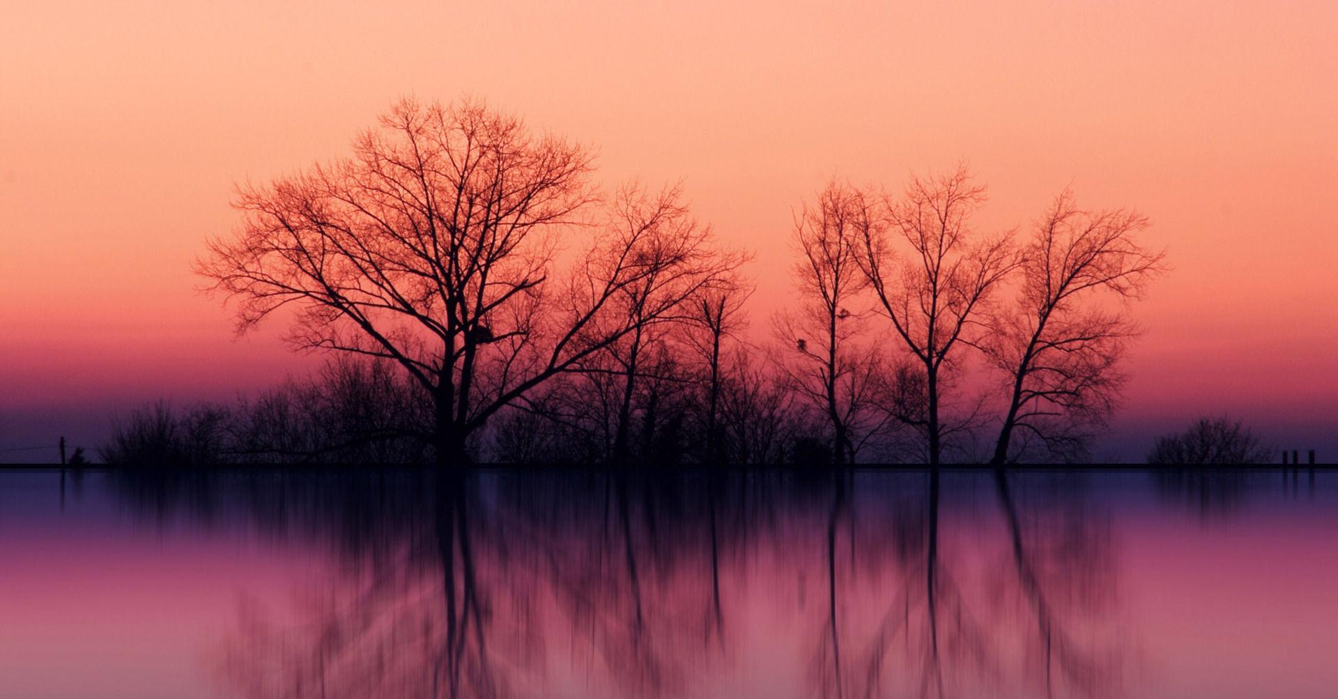 锰硅主力涨超1% 短期下跌动能减弱但缺反弹驱动