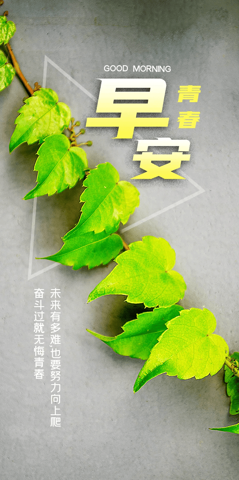 2024年9月21日硼砂价格行情最新价格查询