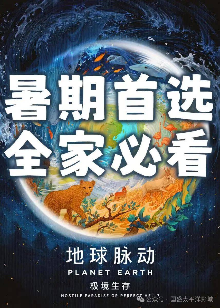 2024年10月12日棕刚玉报价最新价格多少钱