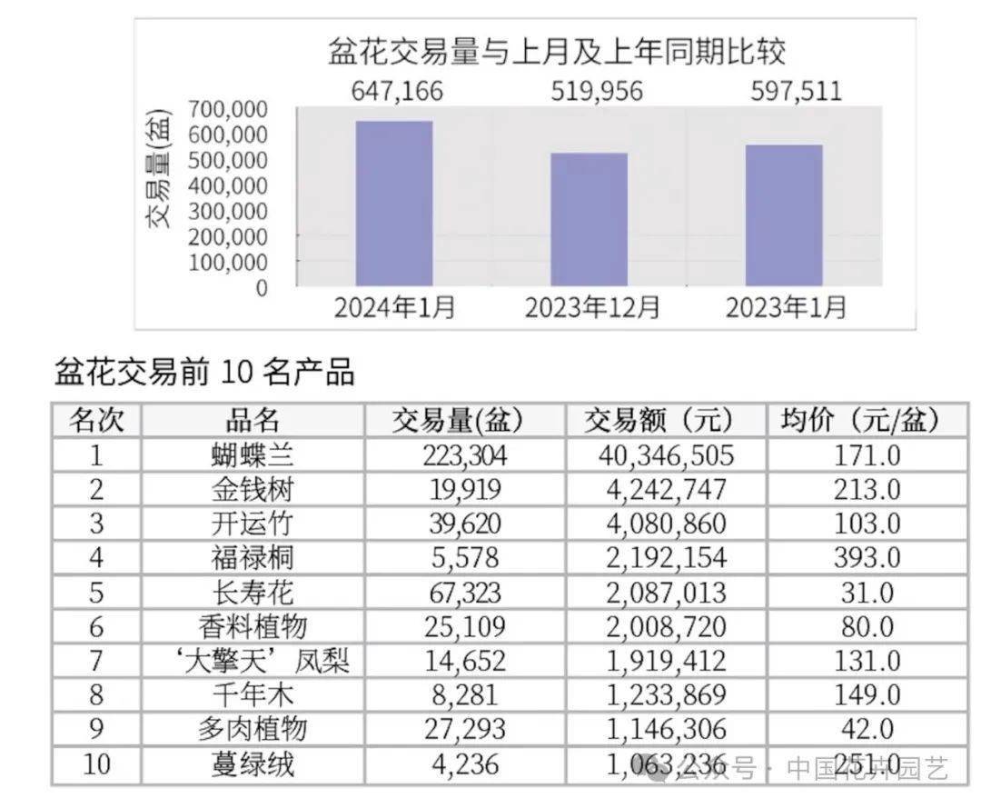 （2024年11月21日）今日铁矿石期货最新价格行情查询