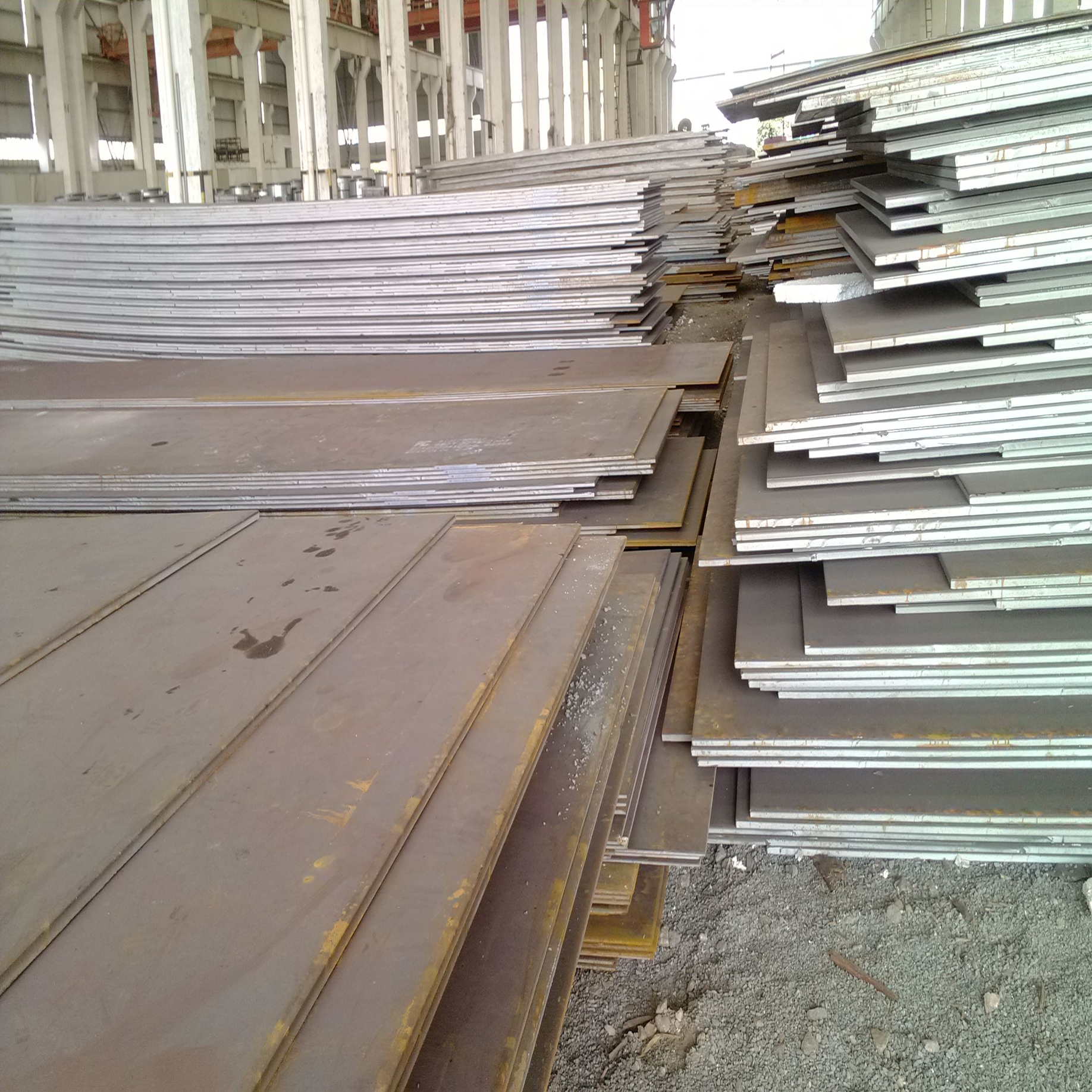 2024年12月17日广州普中板报价最新价格多少钱