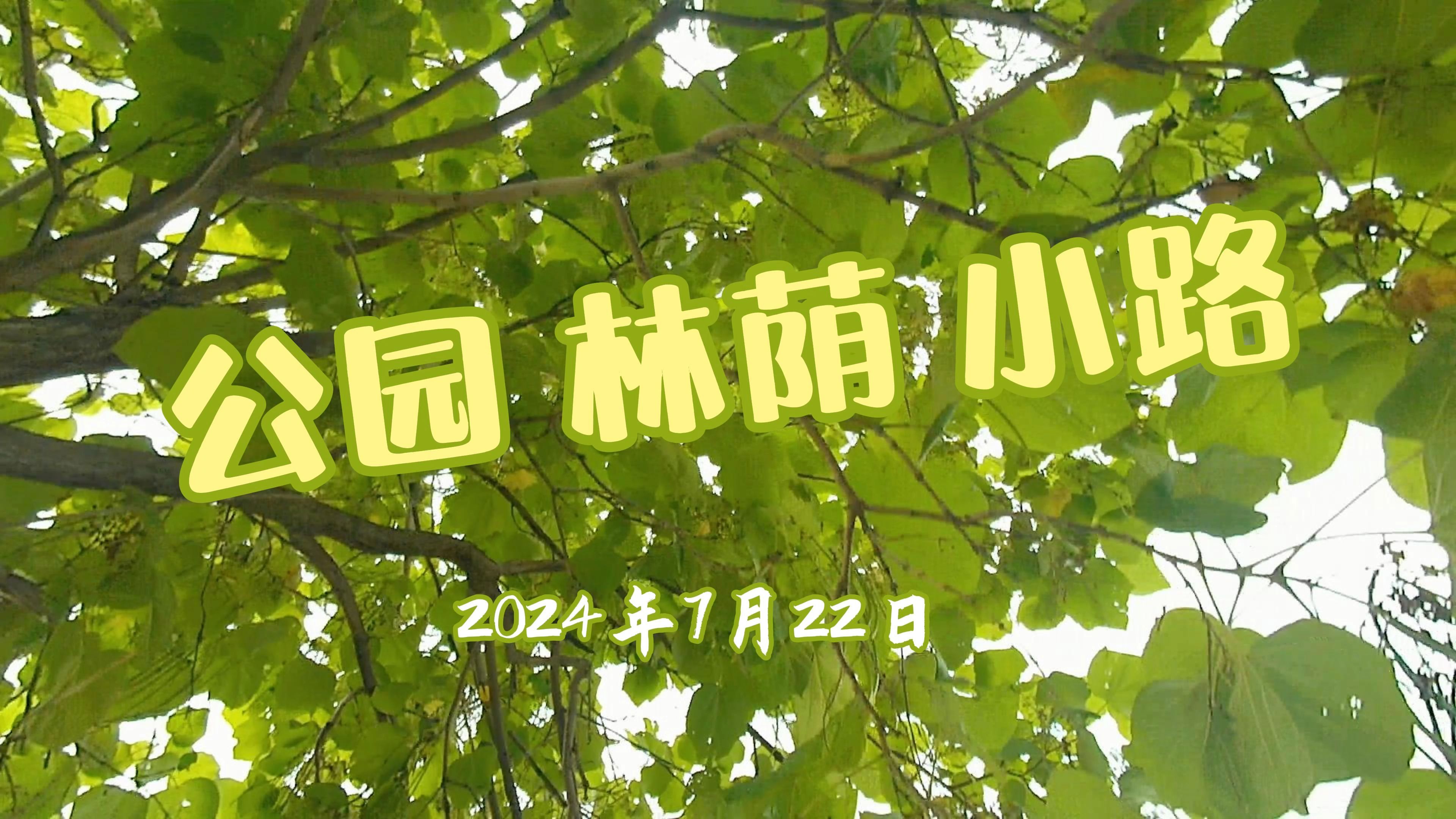 2024年12月22日今日绿沸石最新价格查询