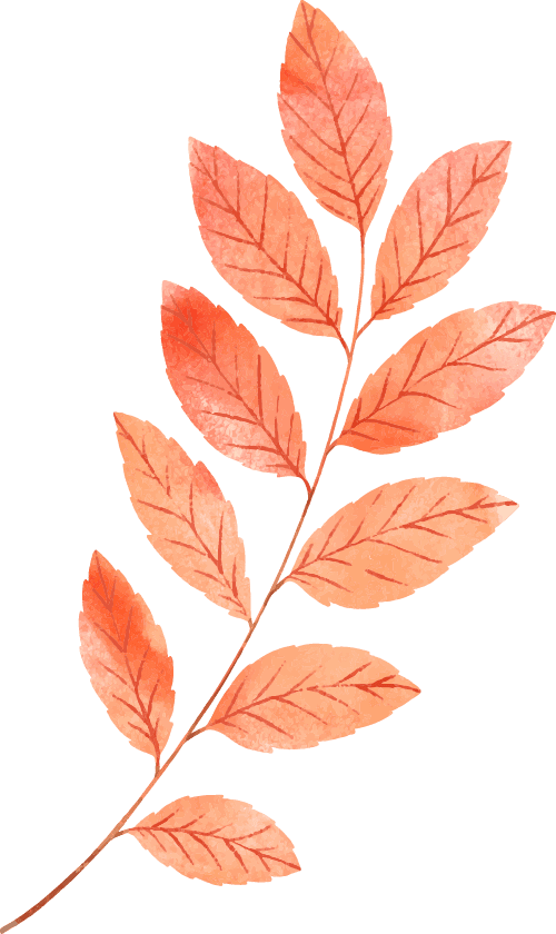 2024年12月26日绿沸石价格行情最新价格查询