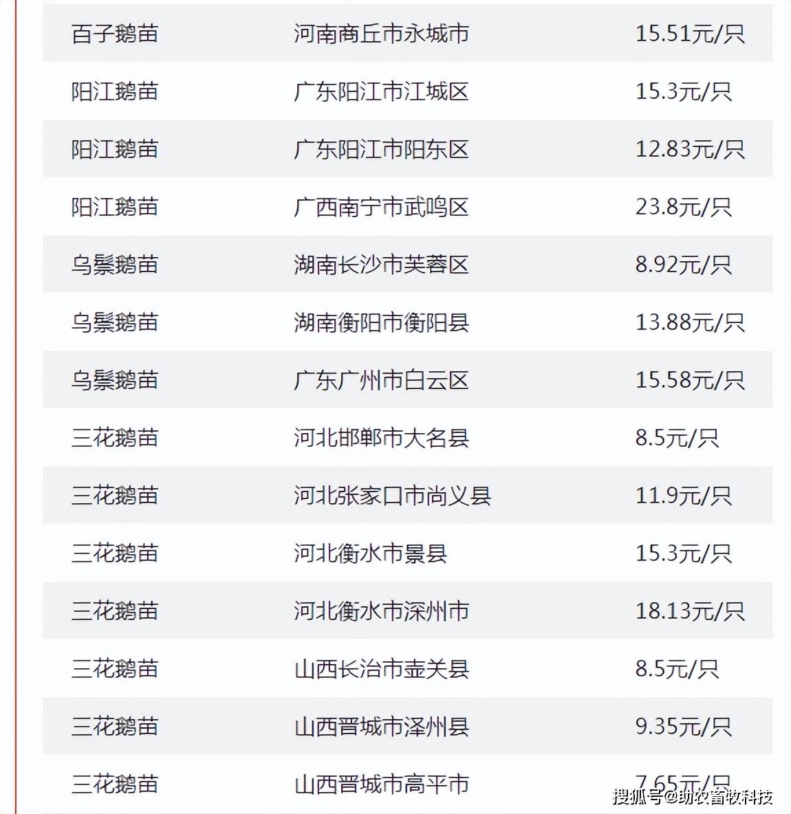 2025年1月19日硼砂报价最新价格多少钱