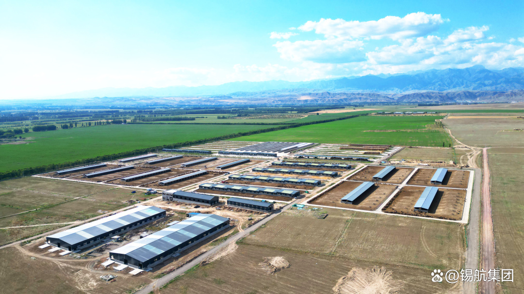 缅甸复产信号 供给侧修复预期 锡价或偏弱震荡