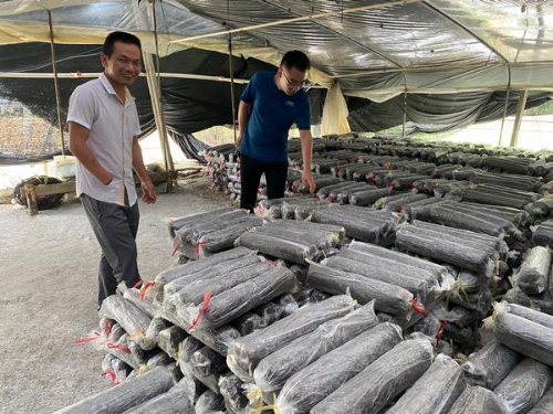 铅供应出现区域性紧张 消费端对高价支撑不足