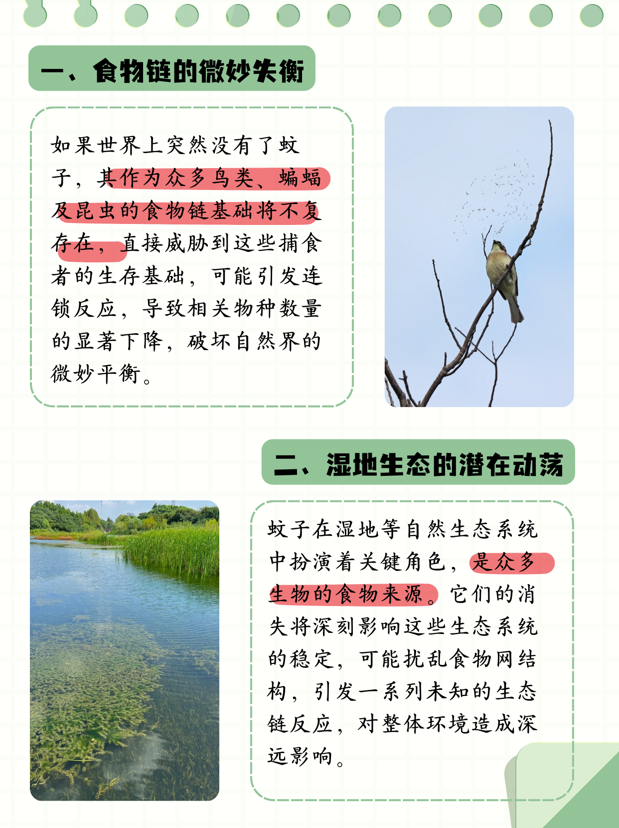 唠“科”话丨为啥蚊子总叮你?“招蚊”跟血型相关?