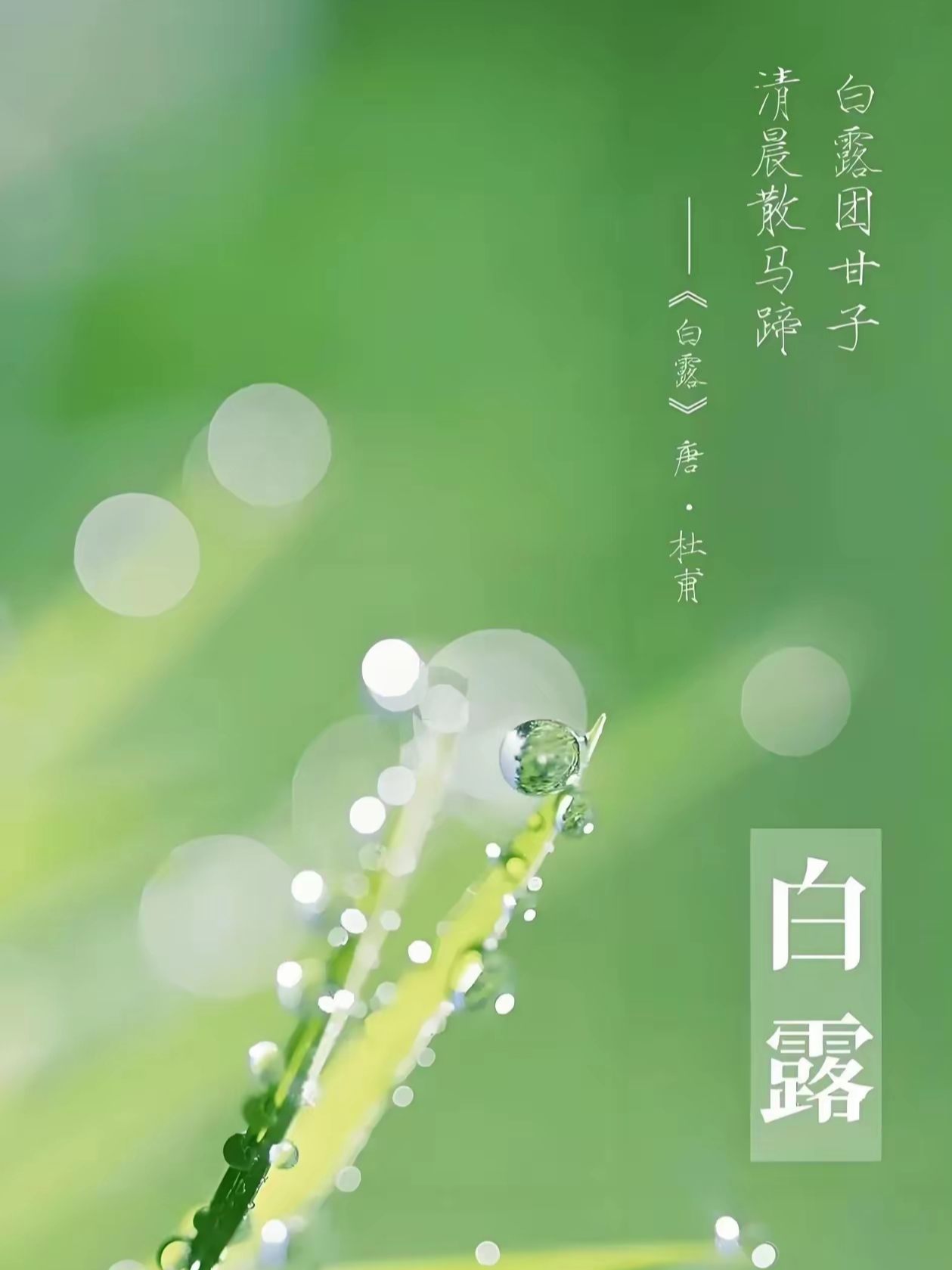 节气物候图鉴:白露至凉意生 全国玉露生凉地图看哪里率先迎秋凉